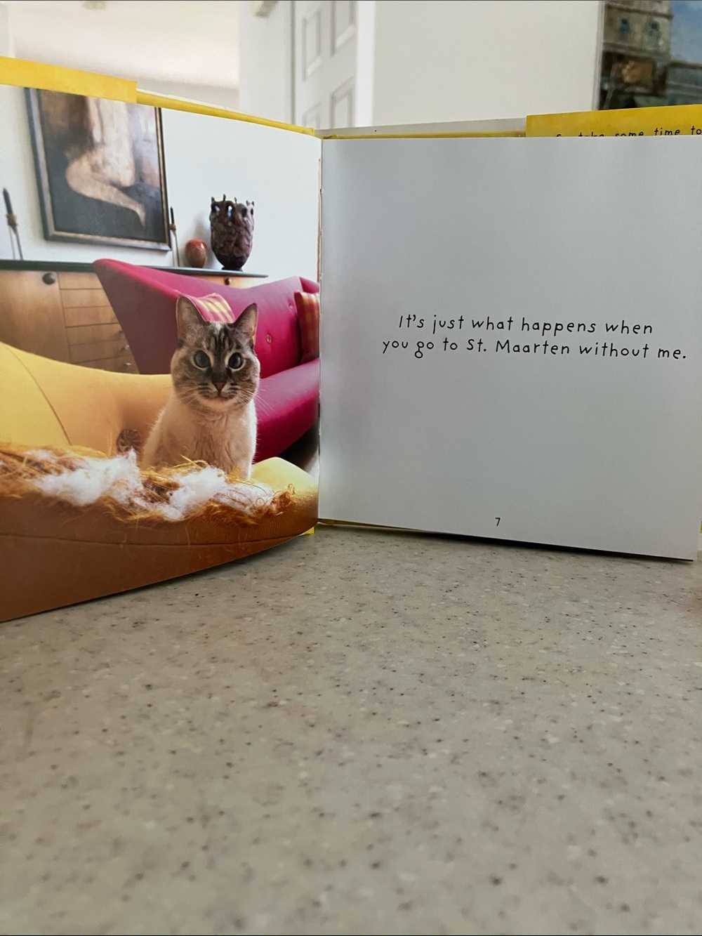 World of Cranky Cats Hardcover Full of Cattitude - Picture 5 of 7